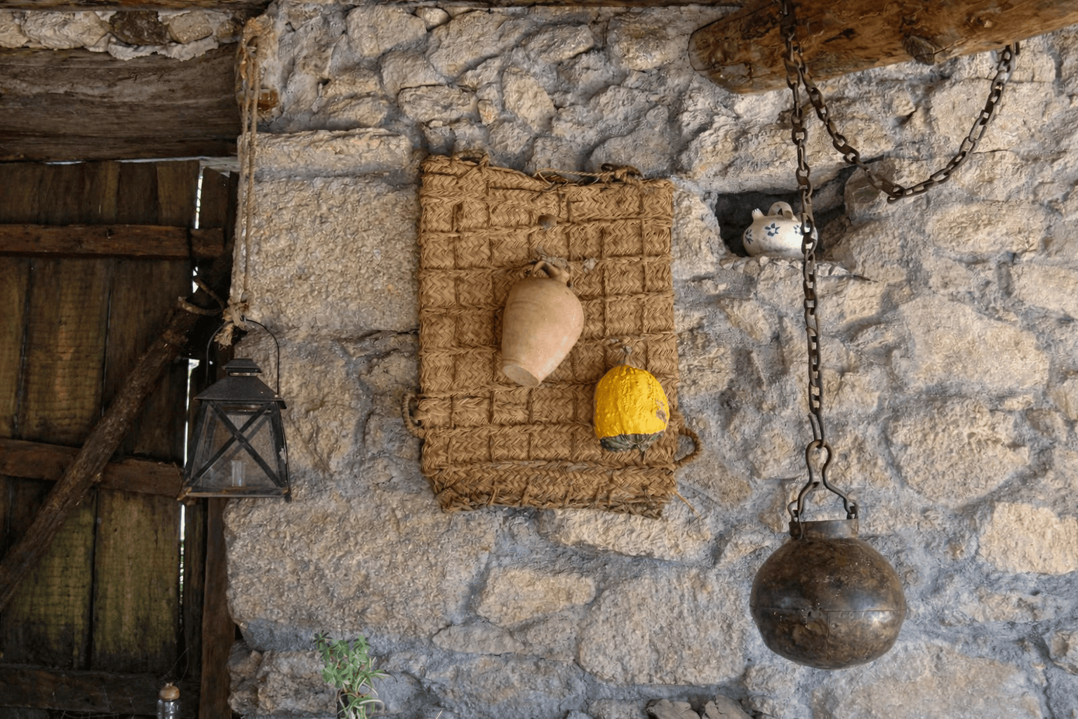 Salamanquesa-detalle-pared