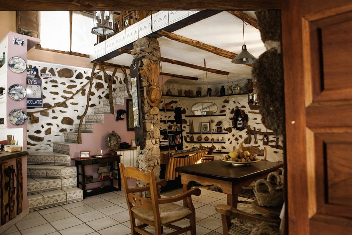 salamanquesa cocina 1